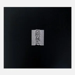 KOST Album Vinyle – JOY DIVISION meilleure qualité 9